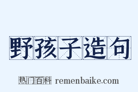 野孩子造句是什么意思的图片
